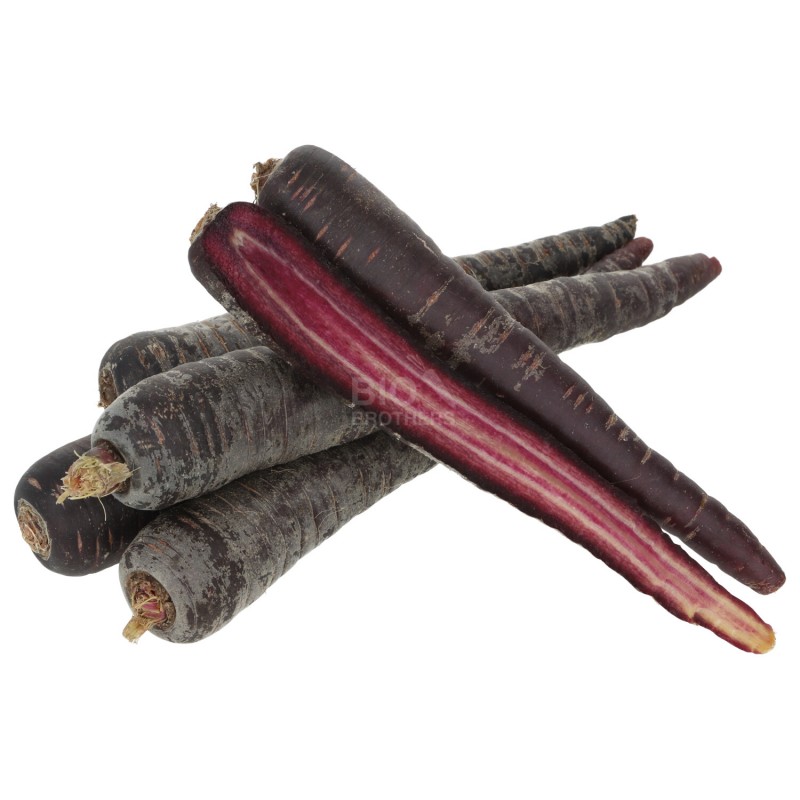 Carota viola demeter