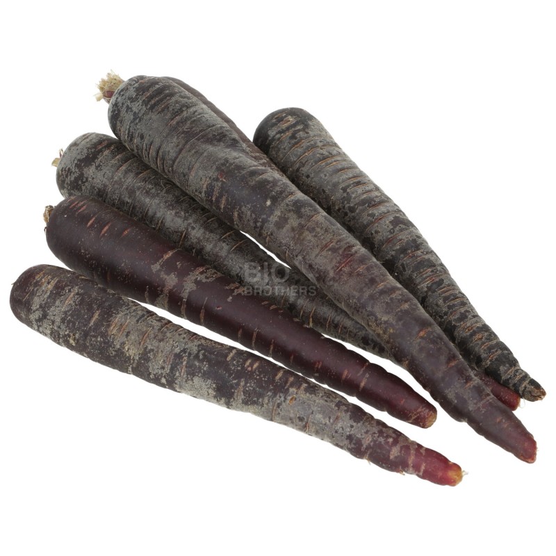 Carota viola demeter