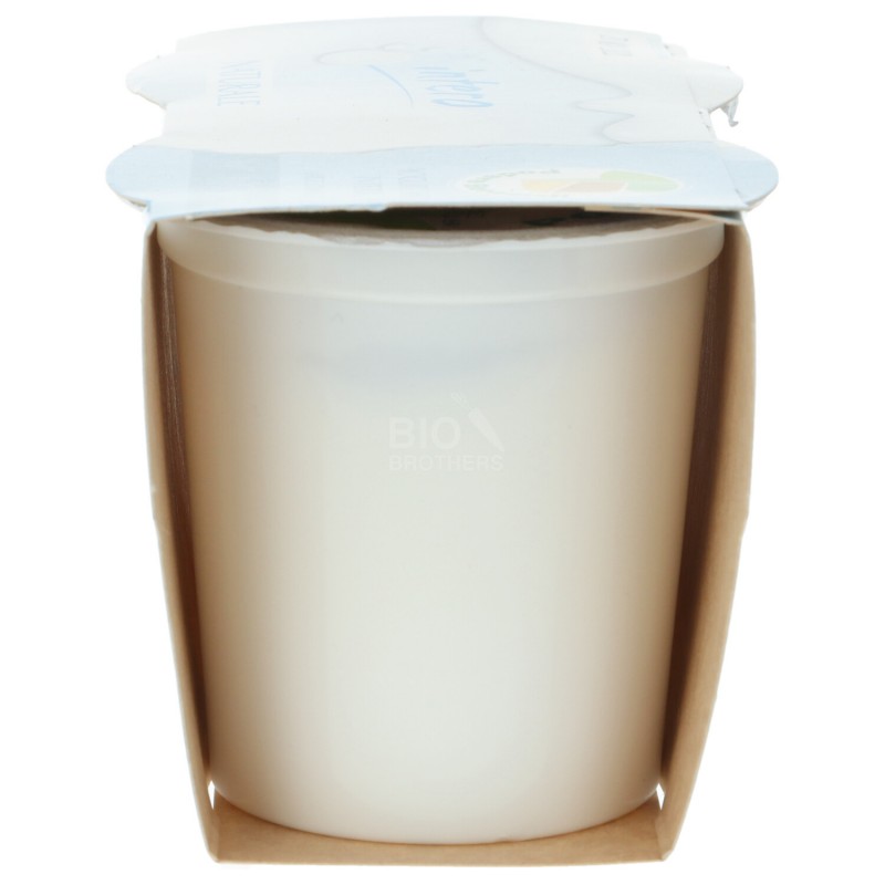 YOGURT NAT. 2X125GR BERNARDI
