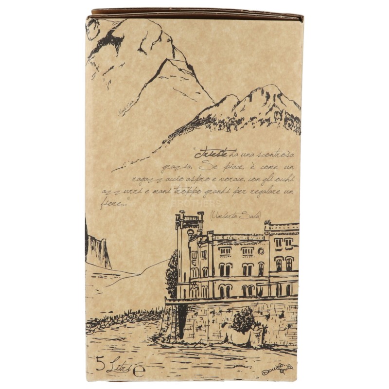 VINO BIANCO BOX 5LT ARCANIA