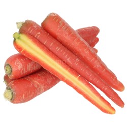 Carota rossa Helene demeter