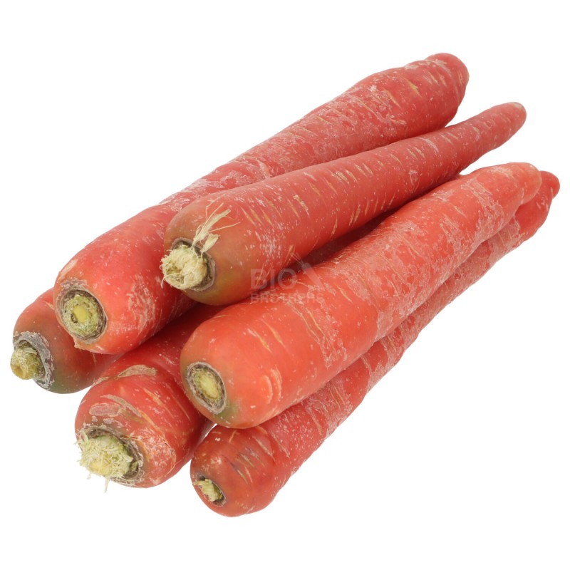 Carota rossa Helene demeter