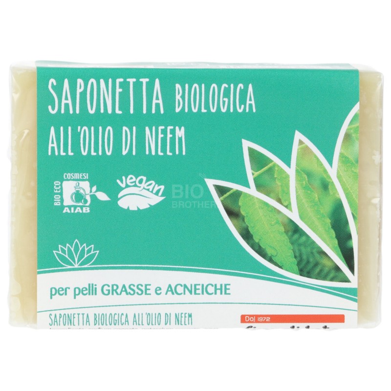 SAP. OLIO NEEEM BIO 100GR FDL