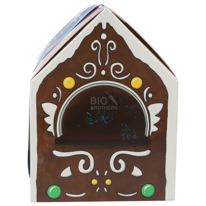 CASETTA PAN DI SPEZIE KIT SPIELBERGER