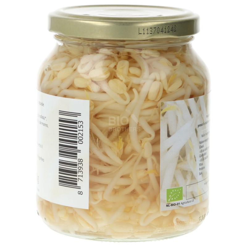 Germogli di fagiolo mung bio al naturale