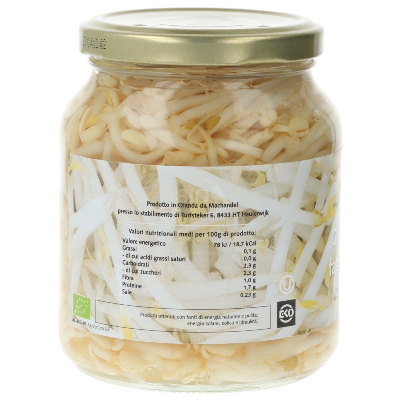 Germogli di fagiolo mung bio al naturale