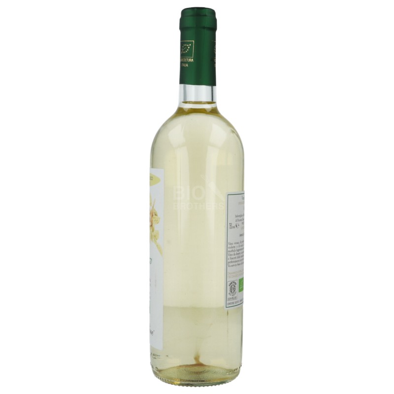 VERDUZZO VENETO IGT 750ML CARLINE 