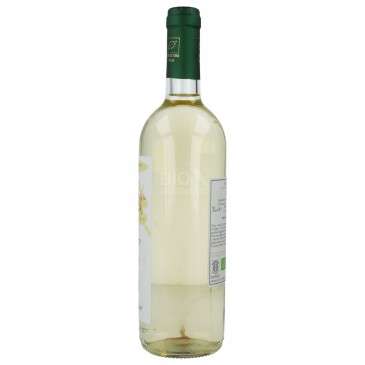 VERDUZZO VENETO IGT 750ML CARLINE VERDUZZO VENETO IGT 750ML CARLINE