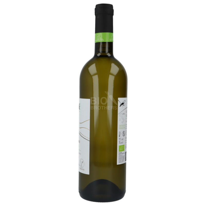VERDISO FRIZZANTE IGT 750ML PERLAGE