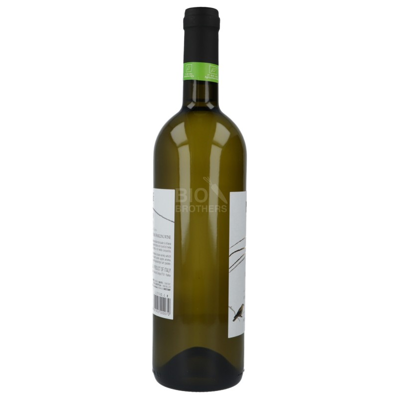 VERDISO FRIZZANTE IGT 750ML PERLAGE
