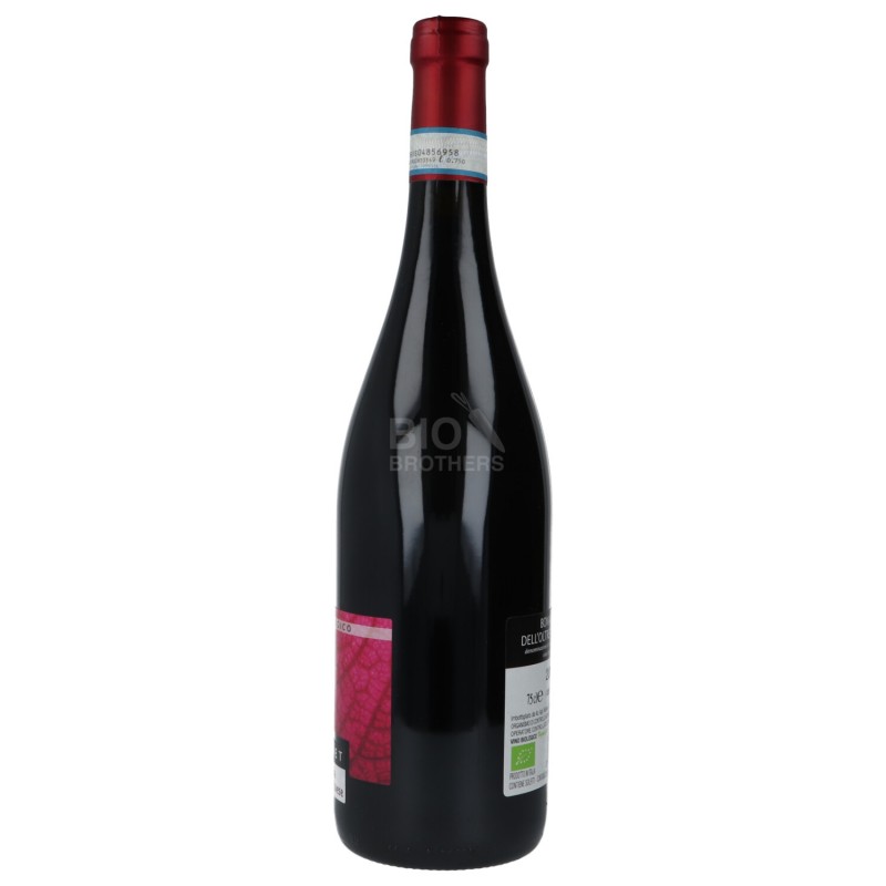 BONARDA DOC 750ML MOLINET