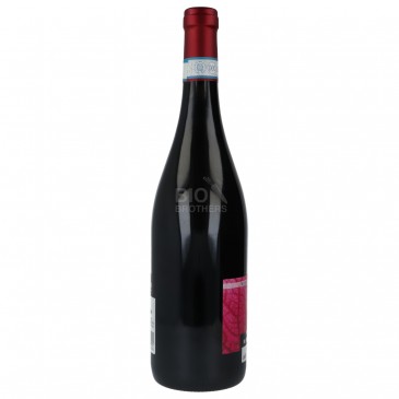 BONARDA DOC 750ML MOLINET BONARDA DOC 750ML MOLINET