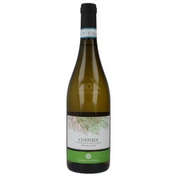 VINO BIANCO TERRA IN FIORE 750ML CUST.
