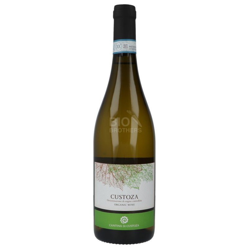 VINO BIANCO TERRA IN FIORE 750ML CUST.