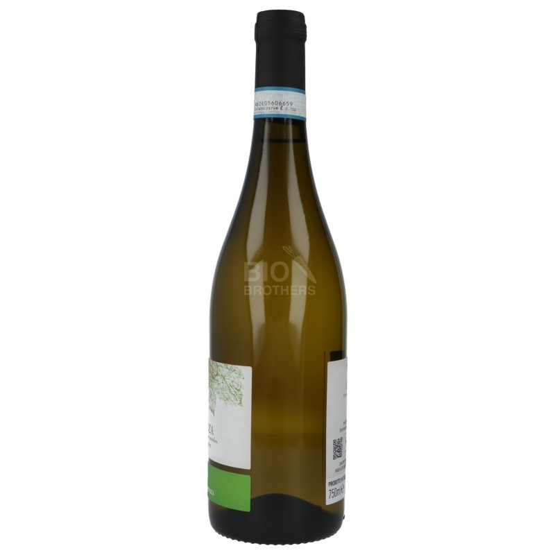 VINO BIANCO TERRA IN FIORE 750ML CUST.