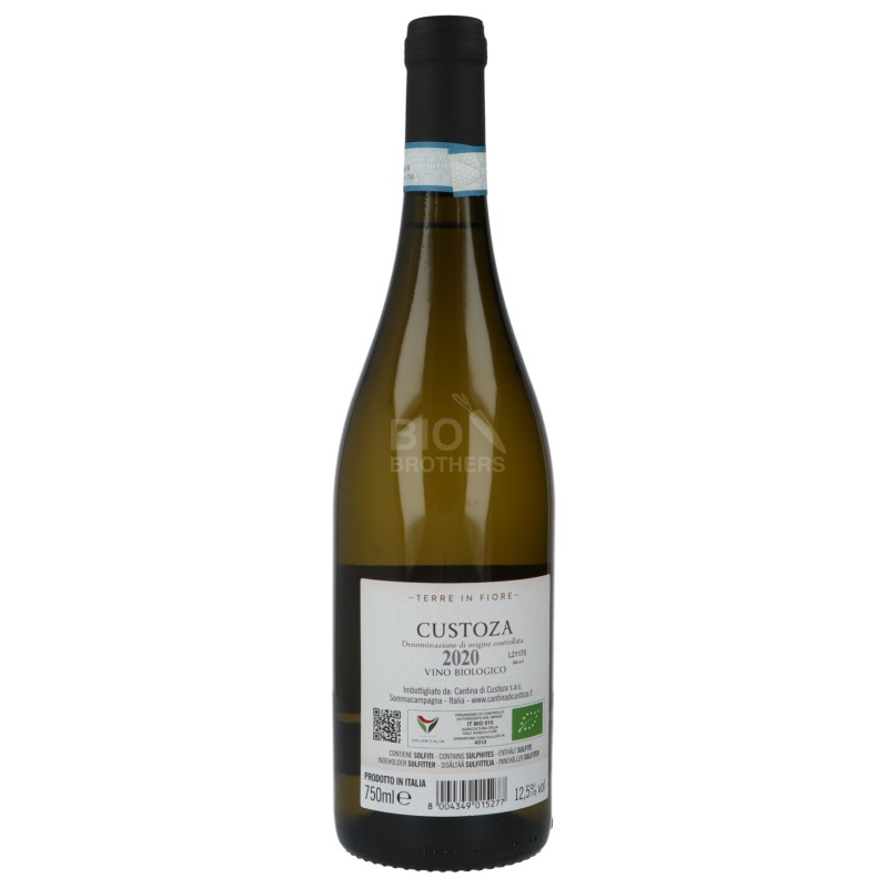 VINO BIANCO TERRA IN FIORE 750ML CUST.