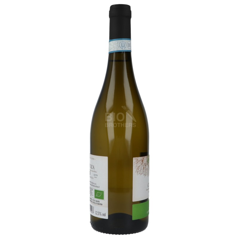 VINO BIANCO TERRA IN FIORE 750ML CUST.