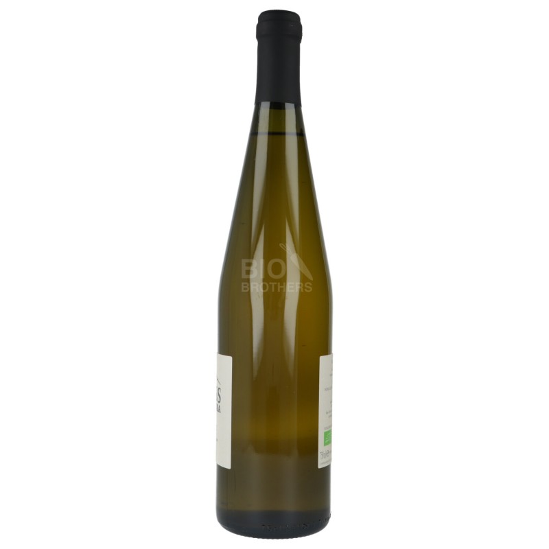 VINO "BIANC" 750ML 