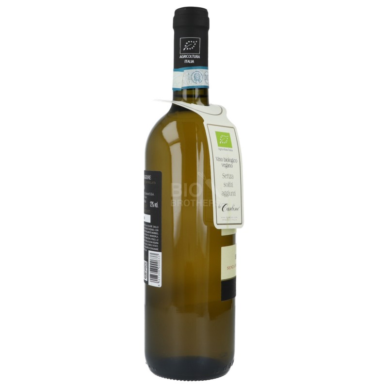 LISON PRAMAGG. DOC 0.75LT CARLINE