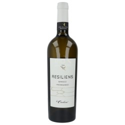 VINO BIANCO RESILIENS 750ML