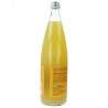 ARANCIATA BIONDA BIO IN VETRO BOTTIGLIA 1LT BAULE VOLANTE