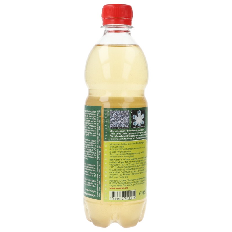 CHI TE VERDE 500ML SOYANA