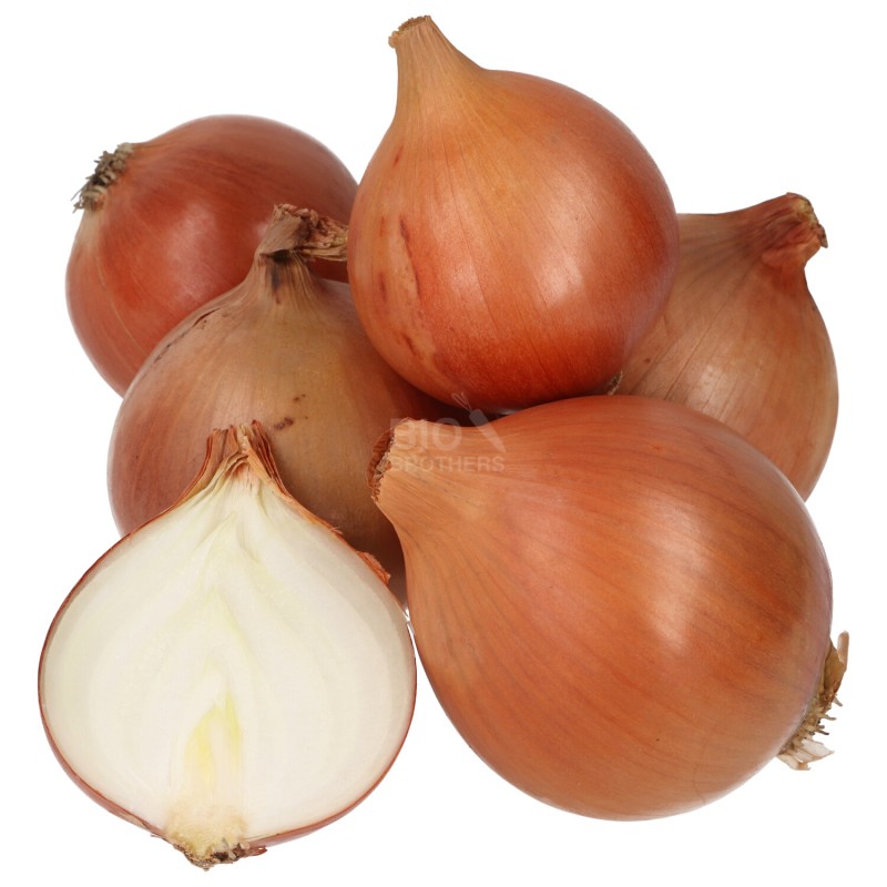 CIPOLLA DORATA (BIO) 