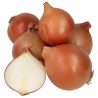 Cipolla Dorata Biologica