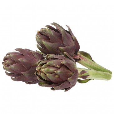 CARCIOFO THEMA (BIO) CARCIOFO THEMA (BIO)