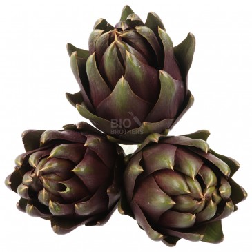 CARCIOFO THEMA (BIO) CARCIOFO THEMA (BIO)