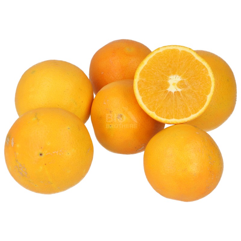 ARANCE SPREMUTA BIONDE (BIO)