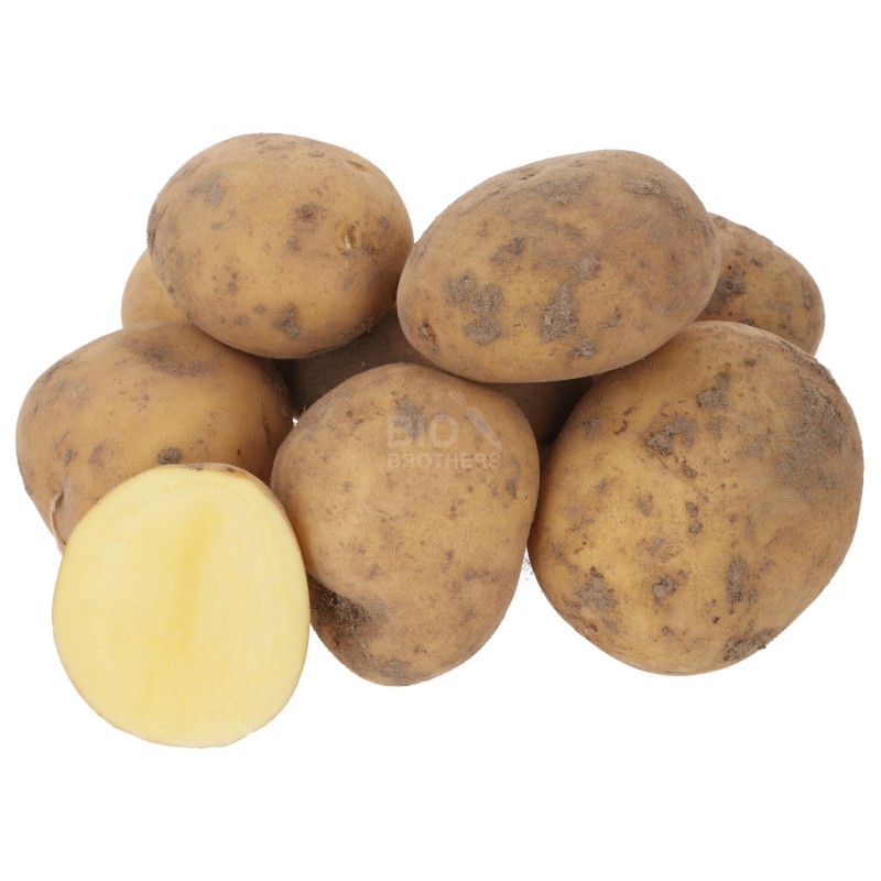 WIVA PATATE GIALLE (BIO)