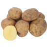 Patate a pasta Gialla Biologiche