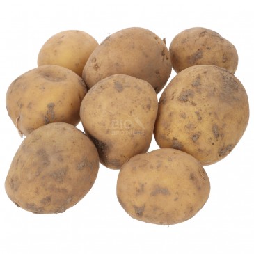 WIVA PATATE GIALLE (BIO) WIVA PATATE GIALLE (BIO)