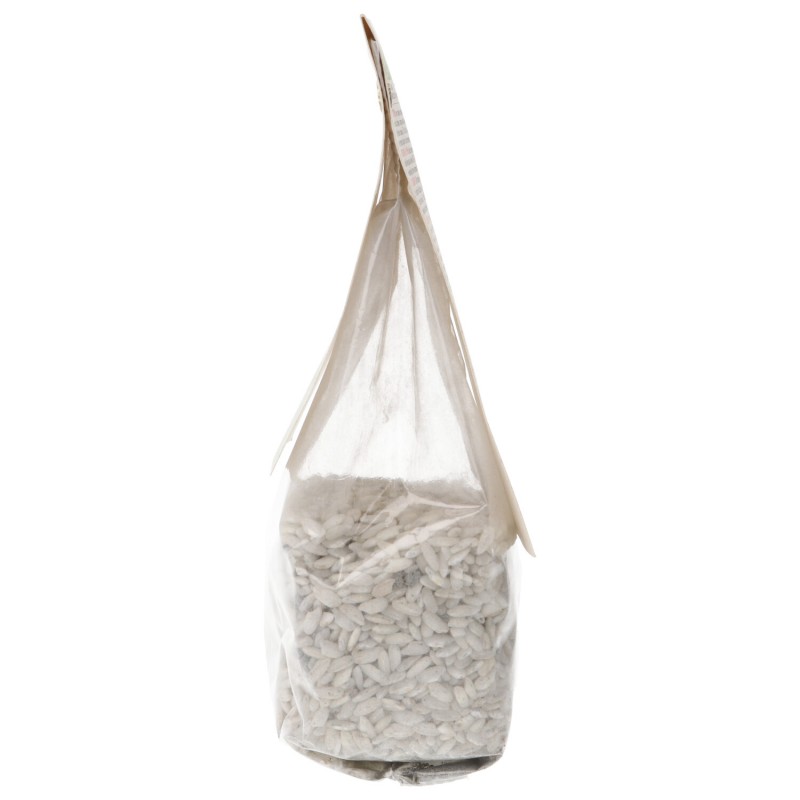 RISOTTO NERO SEPPIA BIO 250GR CASINA BELV.