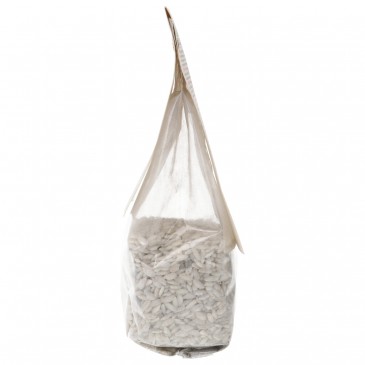 RISOTTO NERO SEPPIA BIO 250GR CASINA BELV. RISOTTO NERO SEPPIA BIO 250GR CASINA BELV.