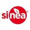 Sinea